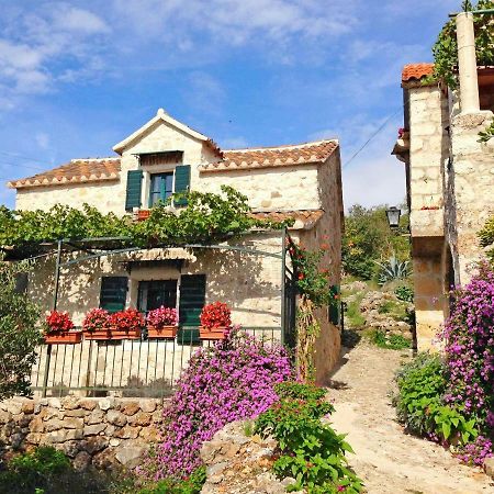 House Dobrila Villa Igrane Kültér fotó